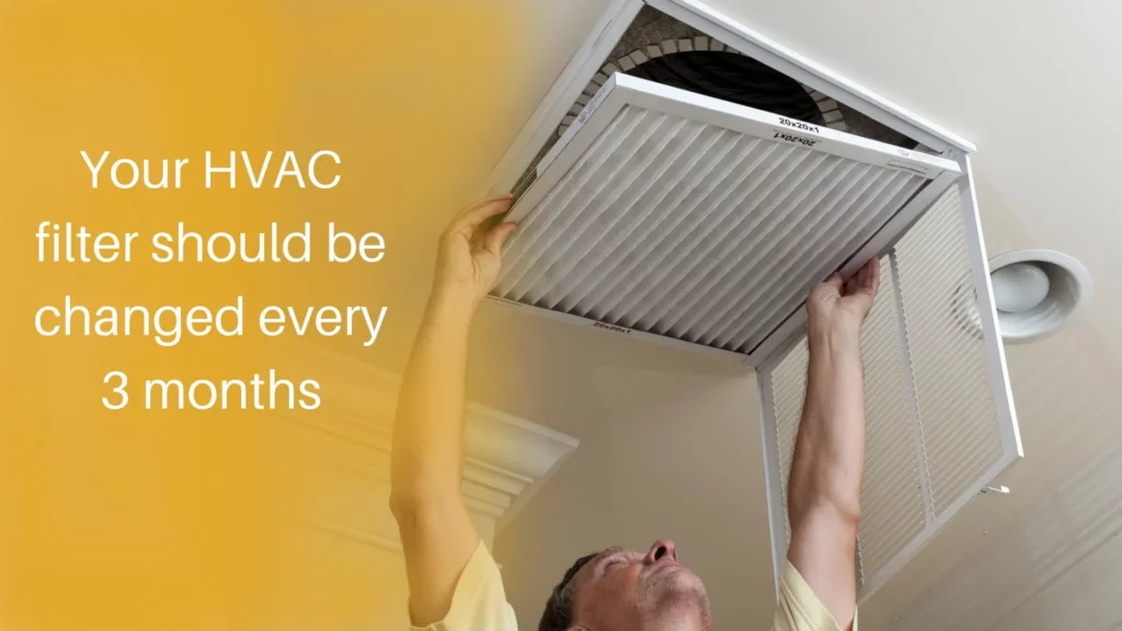 Your HVAC Filter should be changed every 3 months result