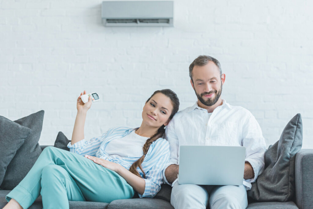 Daikin mini split system